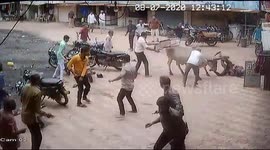 Angry bull gores at least one person in northwestern India