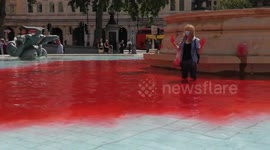 Animal rights activist pours red dye in Trafalgar Square fountain
