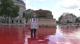 Animal rights activists arrested after dyeing iconic Trafalgar Square fountains blood-red