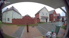 Dustbin truck reverses into posts