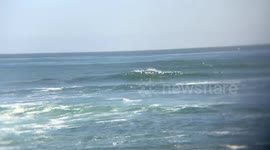 Surfing - King Swell