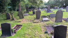 UK Cemetery, Graves