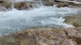 Drifter explores elbow falls climbs prairie mountain and does a polar dip!