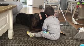 Adorable Baby Laughs and Plays With Dog