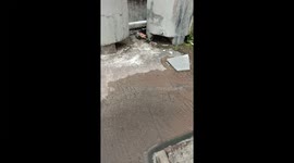 There are ghosts here