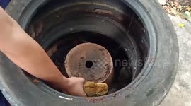 Thai firemen catches python with one hand after it killed family's pet cat