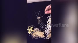Chinese man uses bean sprouts to create paintings