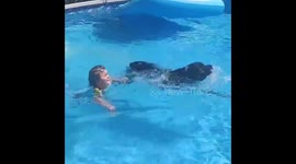 Little girl and big Rottweiler face off in pool race to cool off in Ohio