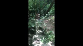 Conquering her fear of swimming