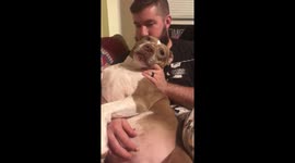 Puppy Mumbles