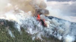 Evacuations ordered as Elephant Butte Fire rages in Colorado