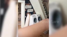 Woman creates detailed minuscule replicas of everyday items