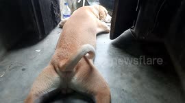 Waiting for stop raining