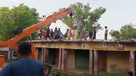Bull stranded atop house roof rescued after 10-hour-long rescue operation in northern India