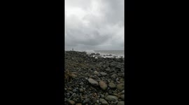 At ease with the waves