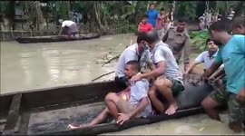 India: Rhino Calf Rescued During Heavy Flooding In Assam