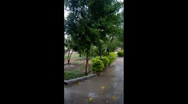 rain and wind ,weather , raining ,view of rain , villages, pice of mind