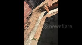 Photo reel of the work