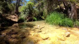 A path through the stream of the Guazalamanco river surrounded by vegetation in Pozo Alcón, Cadiz, Spain.