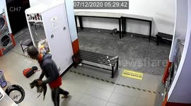 Man arrested after putting three cats into laundrette washing machines in Malaysia