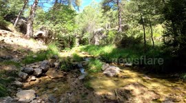 A path through the stream of the Guazalamanco river surrounded by vegetation in Pozo Alcón, Cadiz, Spain.