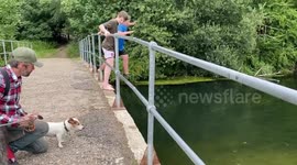 Tiny dog takes huge leap from high bridge into the river
