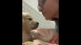 Adorable puppy and his owner trade kisses with each other