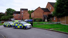 Police launch murder investigation after man in his 30s killed in leafy suburb
