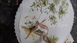Vietnamese baker creates detailed deer portrait using whipped cream