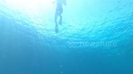 Real mermaid swimming across underwater bubble ring