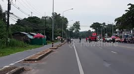 Two elephants hold up traffic to cross the road in Thailand