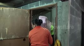 Cobra caught hiding under woman's bed in Thailand