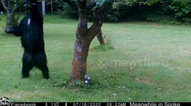 May I Have This Dance