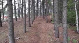 Hiking with Alaskan Malamute Sojou in Piedmont Quebec Canada
