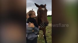 Hilarious moment eight month old baby vomits on horses face