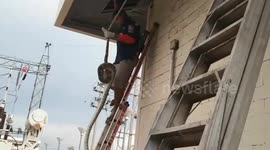 Python caught in 30ft factory ceiling where it had eaten two pigeons