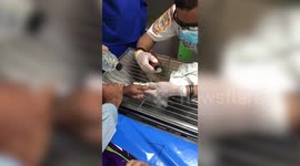 Firefighters remove ball bearing stuck on boy's finger