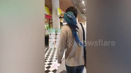 Bird lover takes pet parrot on trip to the supermarket