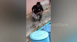 Snake wrangler calmly catches cobra in empty plastic water bottle