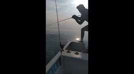 Selangor malaysia queen fish