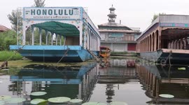 Bathing boats and motorboats on Dal Lake in Srinagar have been suffering for 10 months in Northern India.