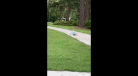 Cockatoos and Kids