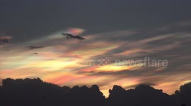 Airplanes and birds fly across an amazingly coloured sky just after sunset.