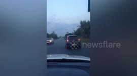 Motorcyclist stands on seat while riding along road in Cambodia