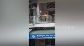Locals rescue cat stranded on telephone cable in Cambodia