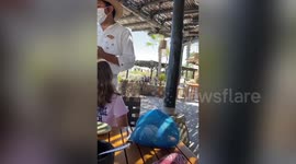 Bella Thorne seen at resort in Mexico after reportedly celebrating engagement to boyfriend Benjamin Mascolo