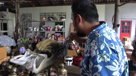 Movie fan makes wacky 'Predator' motorcycle helmets in Thailand
