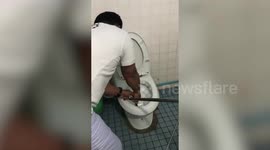 Terrified schoolboy finds deadly cobra in toilet bowl in Thailand