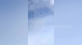 Drones used to spray pesticide on locust swarms in southern China