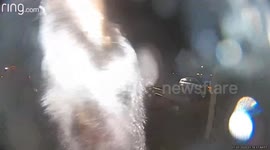 'Bear wonders if camera is tasty!' Bear in Alaska sneaks onto Ring cam fogging the lenses